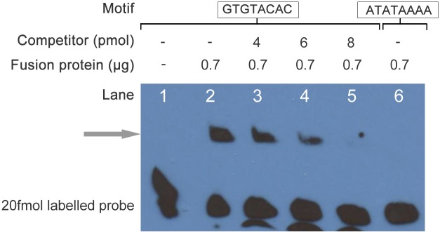 Fig 4