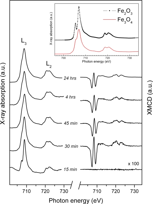 Fig. 4.