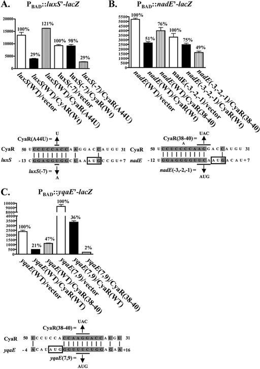 FIG. 5.