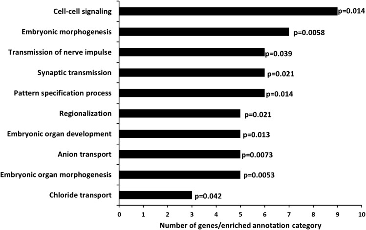 Figure 2.