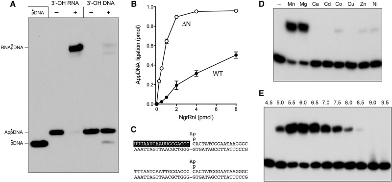 FIGURE 5.