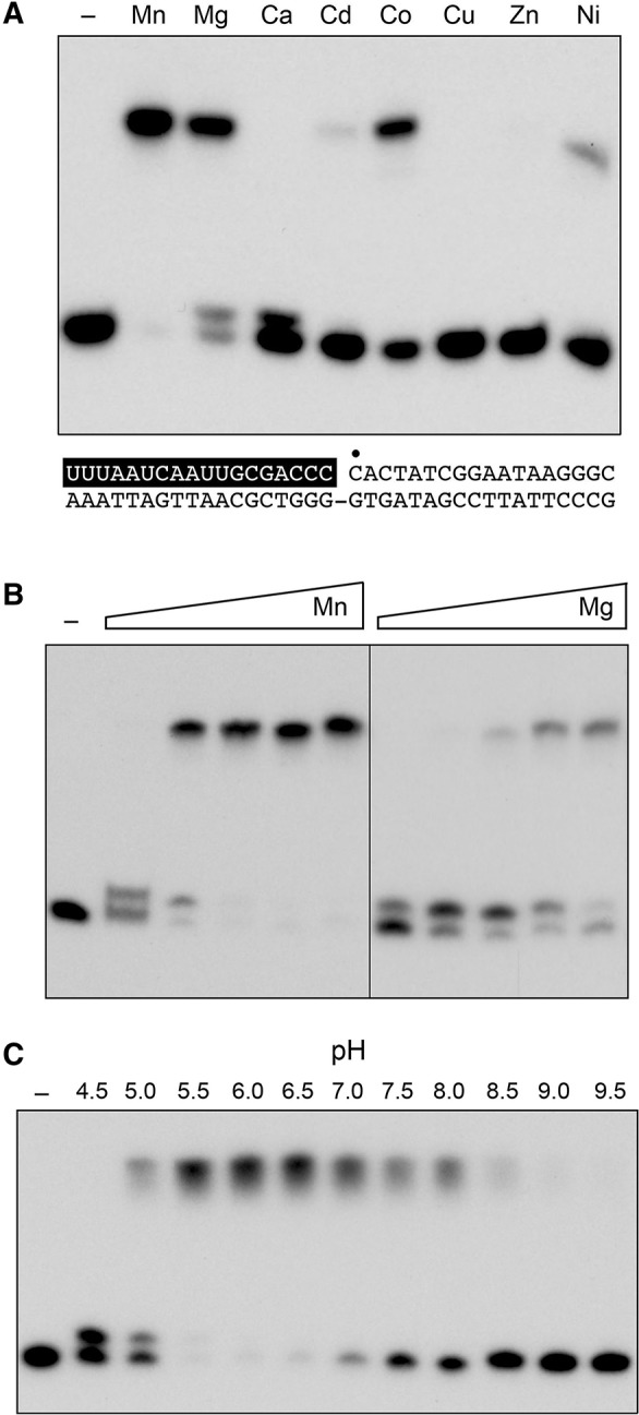 FIGURE 3.