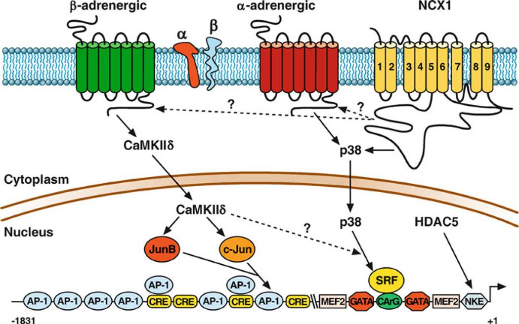 Figure 11.1