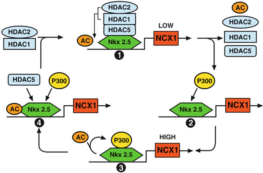 Figure 11.2