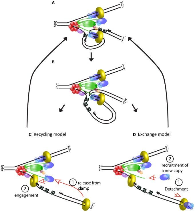 FIGURE 3