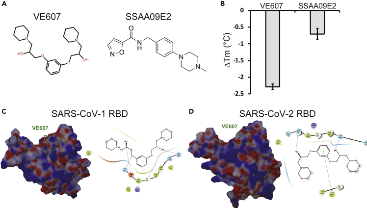 Figure 1