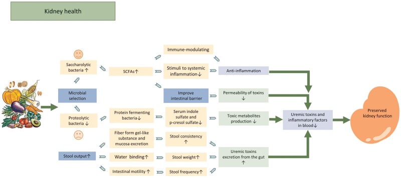 FIGURE 3: