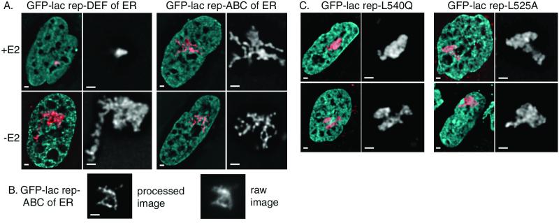 FIG. 6.