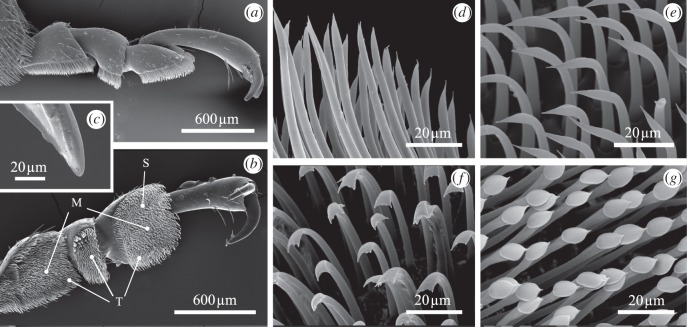 Figure 3.