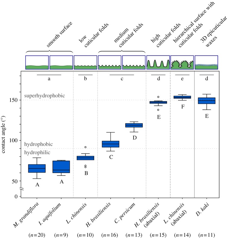 Figure 5.