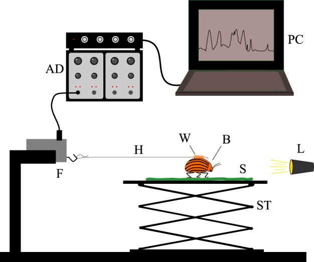 Figure 1.