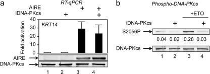 Fig 5