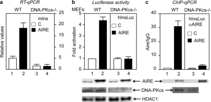 Fig 4