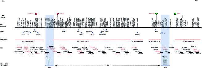 Figure  1