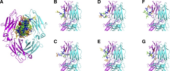 Figure 10