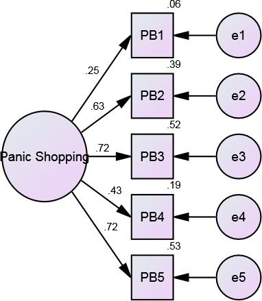 Figure 1. The one-factor model of the COVID-19-Related Panic Shopping Questionnaire