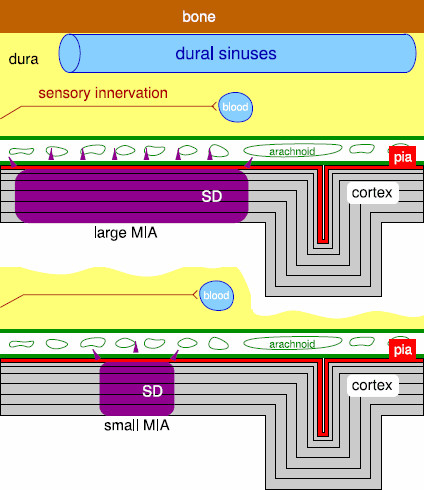 
Fig. 10
