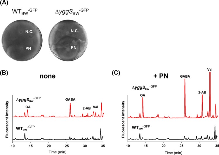 FIG 2