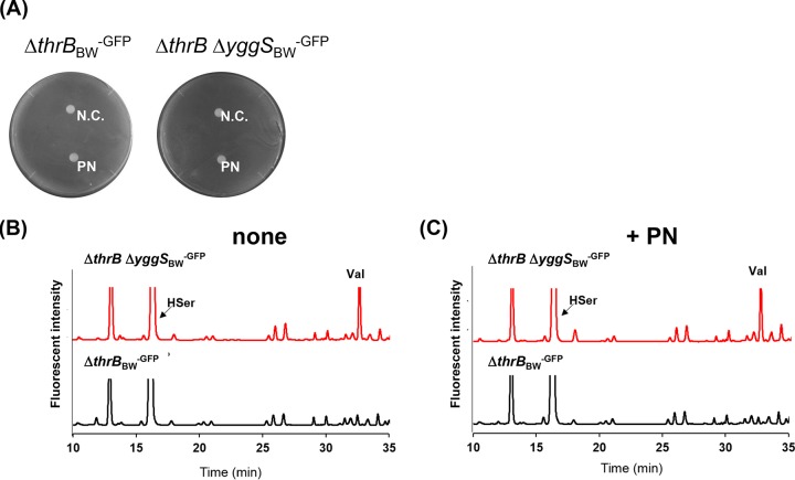 FIG 8