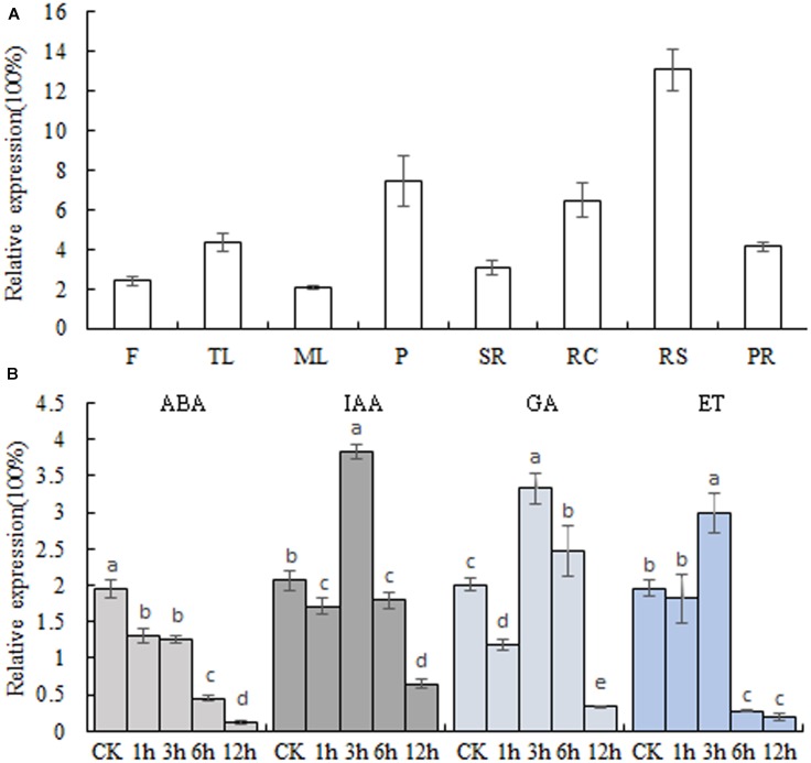 FIGURE 4