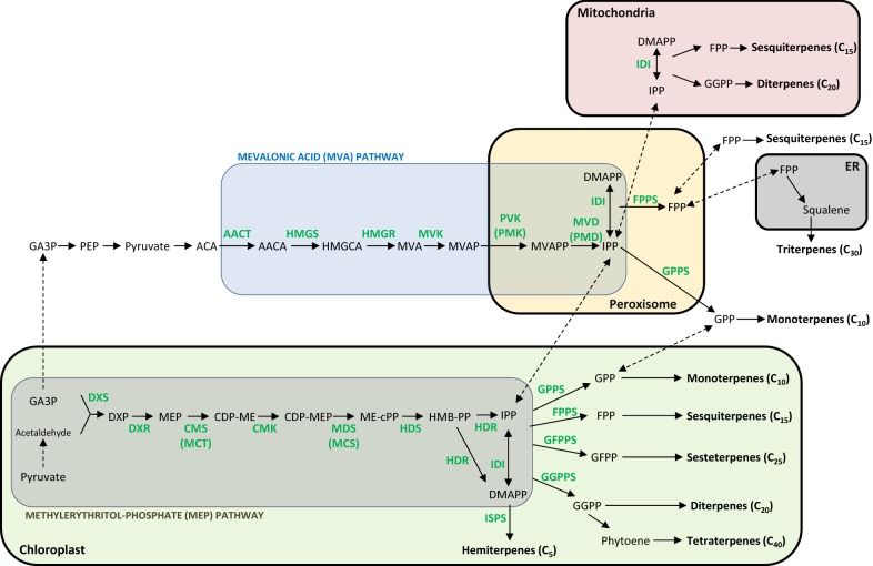 Fig. 3