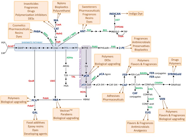 Fig. 2