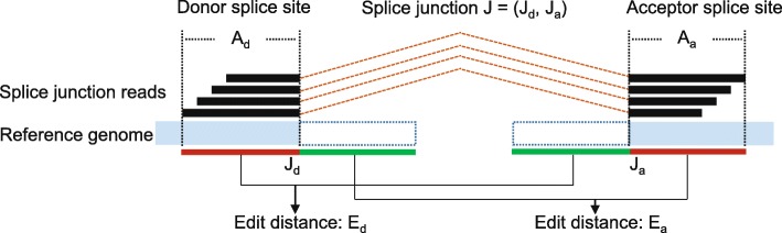 Fig. 10