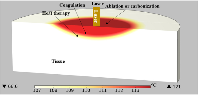 Fig. 2.