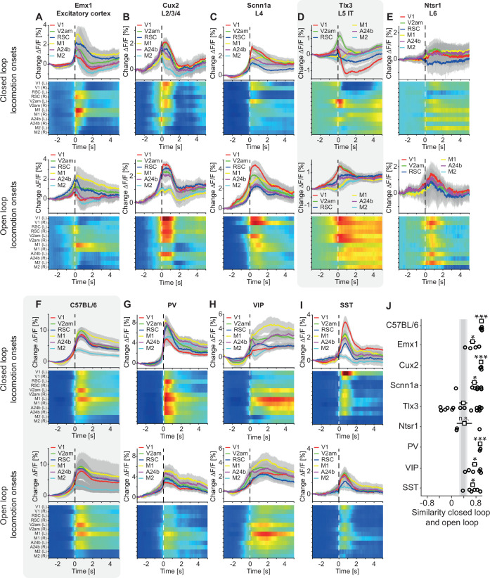 Figure 1—figure supplement 4.