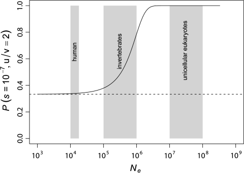 FIG. 1.—