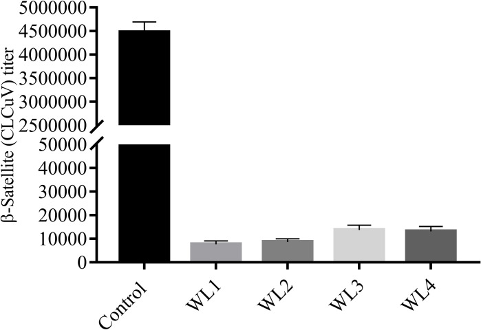 Fig 6