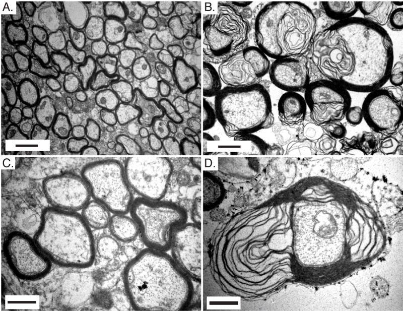 Fig. 6