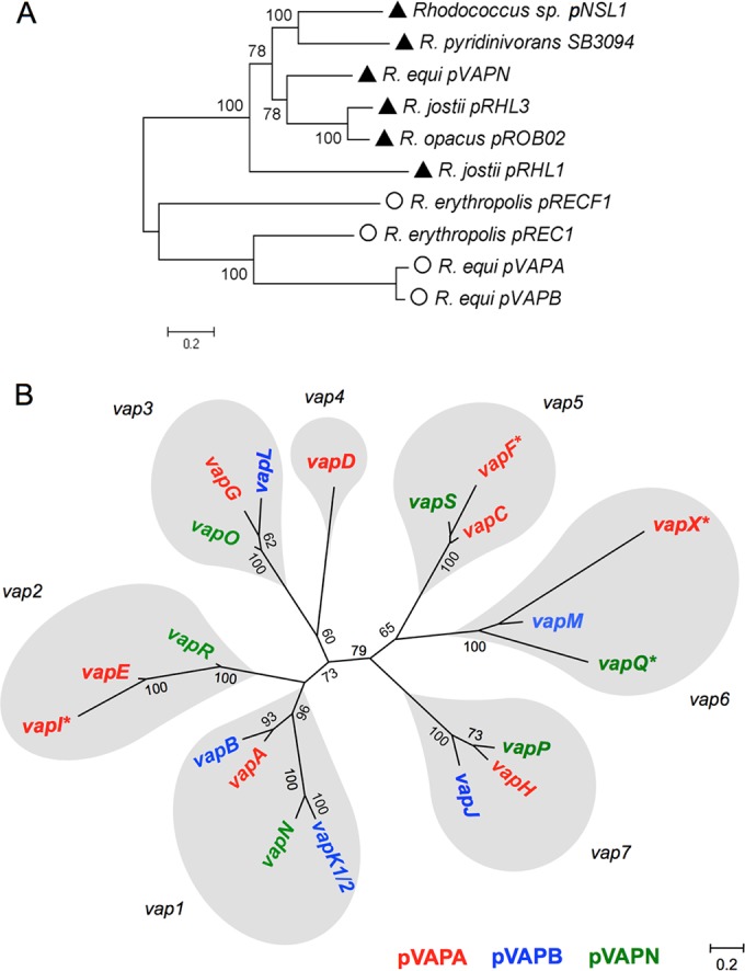 FIG 3