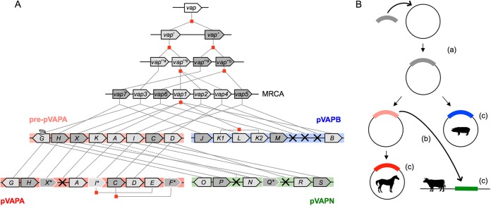 FIG 6