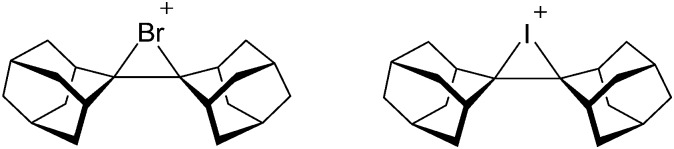 Fig. 101