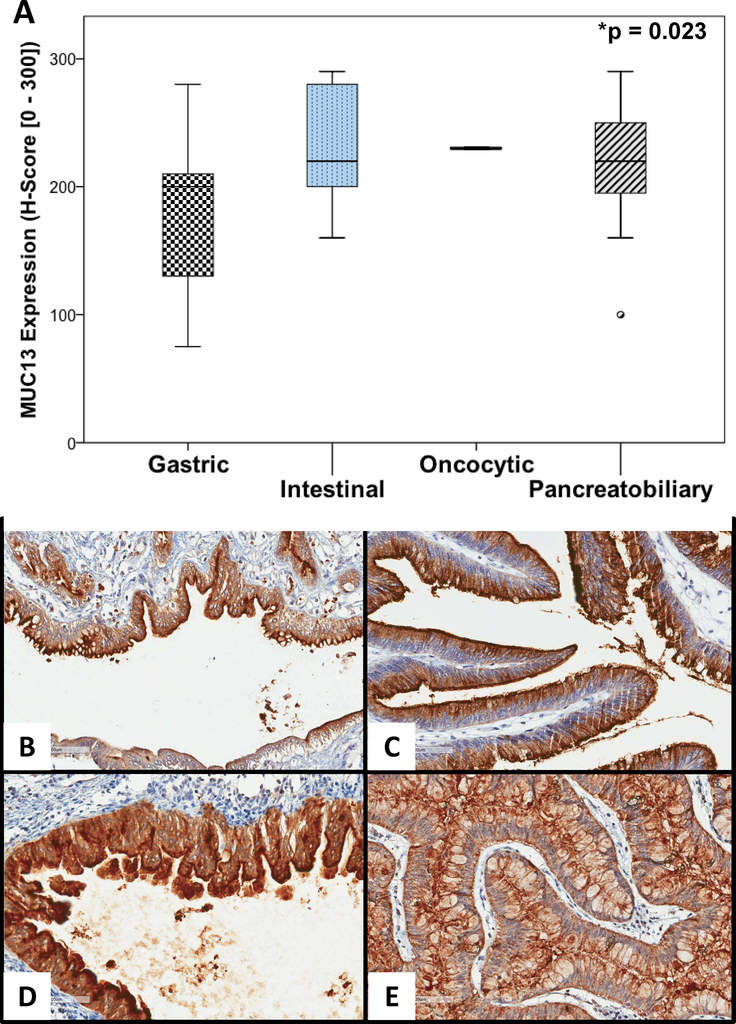 Figure 2: