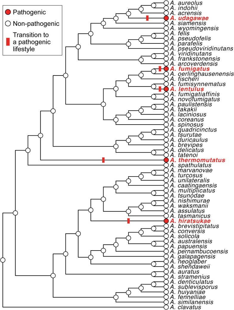 Fig 1