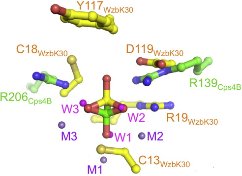 Fig. 7