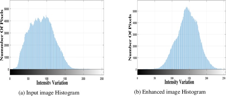 Fig 5