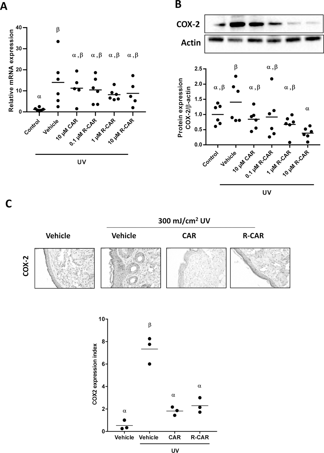 Figure 4: