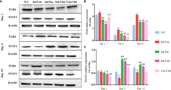 Figure 3