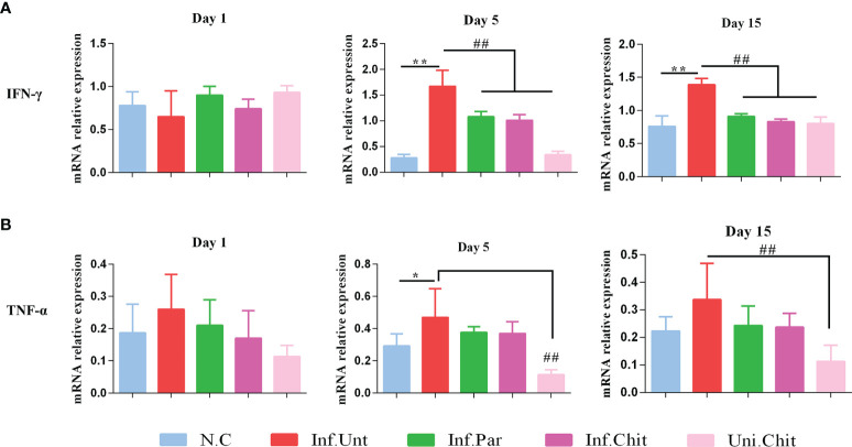 Figure 2