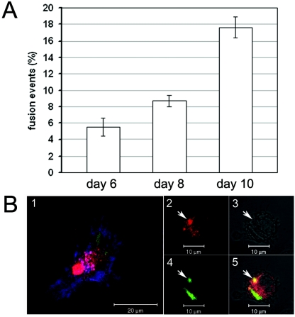 FIG. 4.