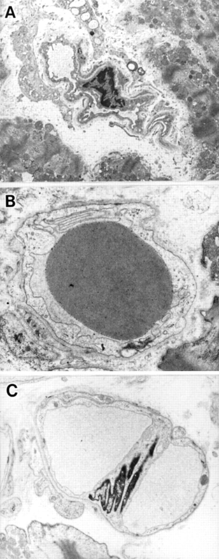 Figure 2  