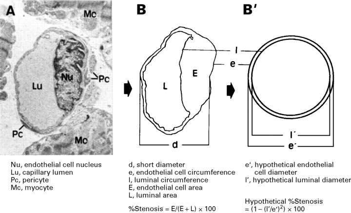 Figure 1  