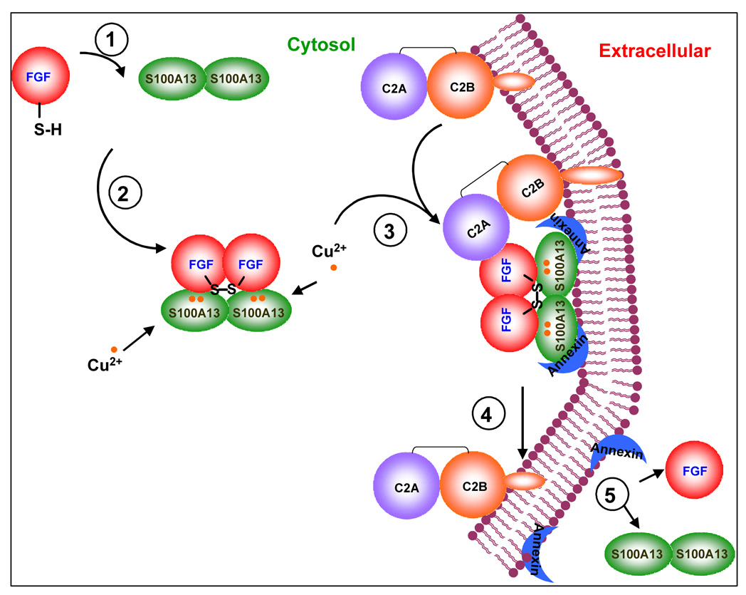 Fig. 10