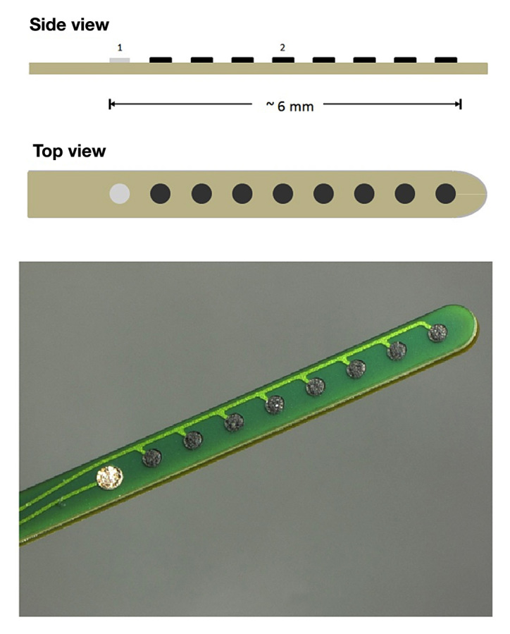 Figure 1.