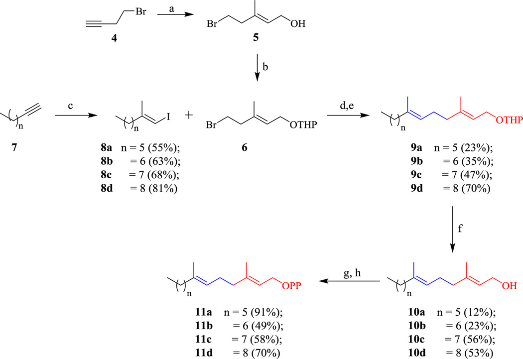 Scheme 2