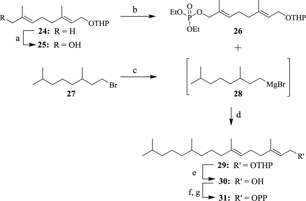 Scheme 4