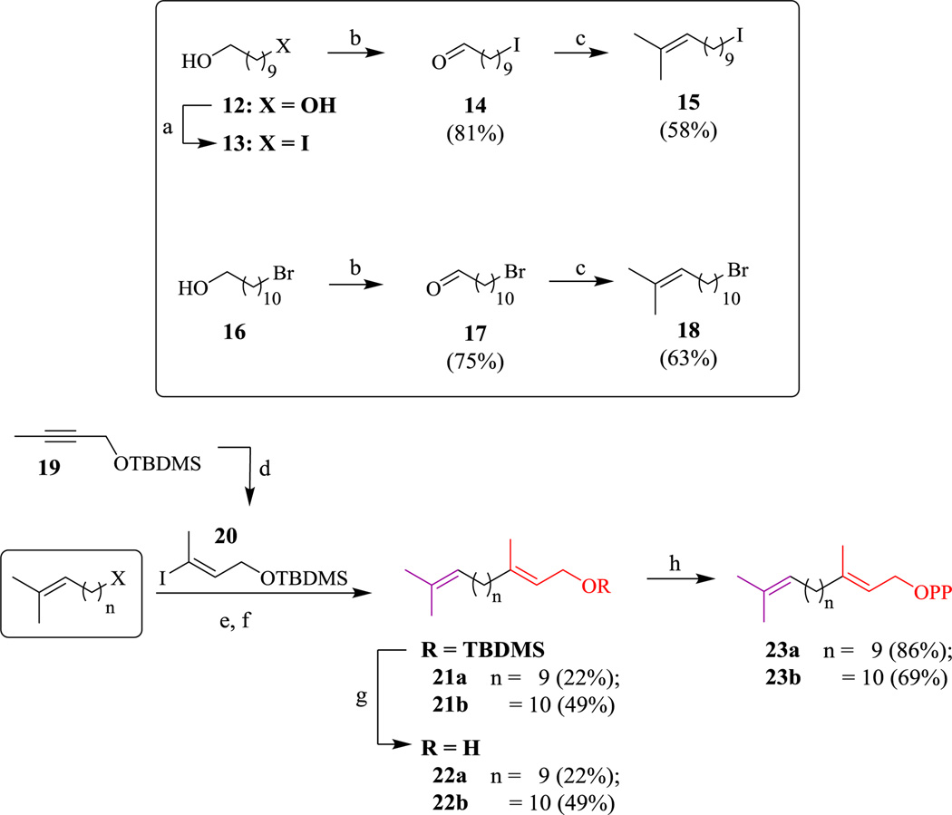 Scheme 3